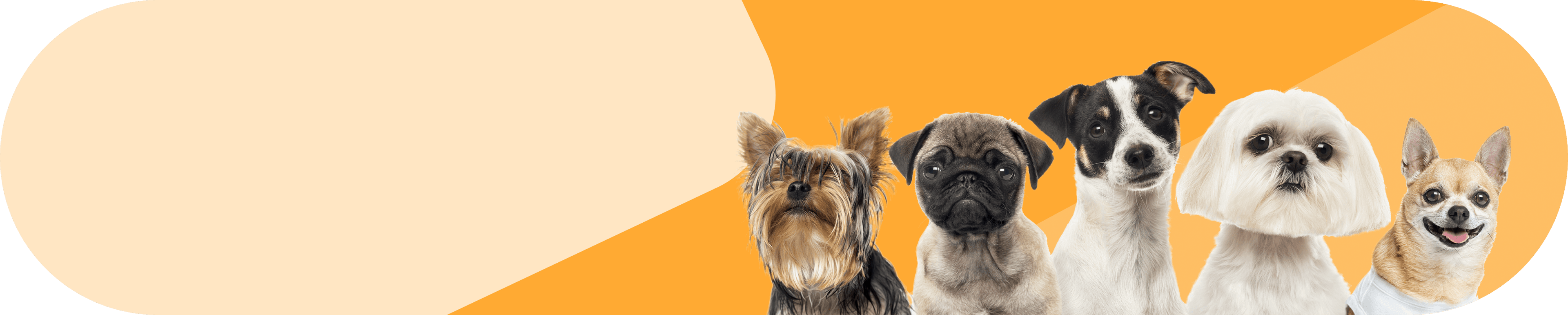PetSpot banner