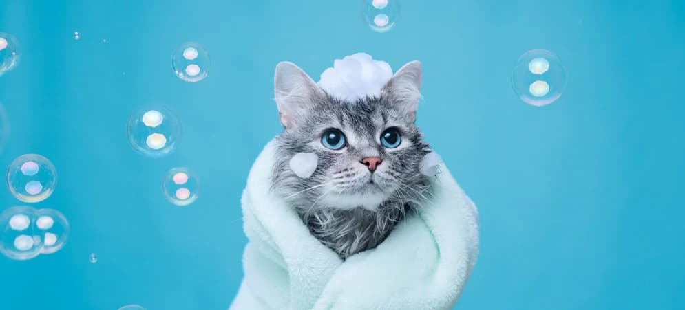 Комплексний догляд для котиків
